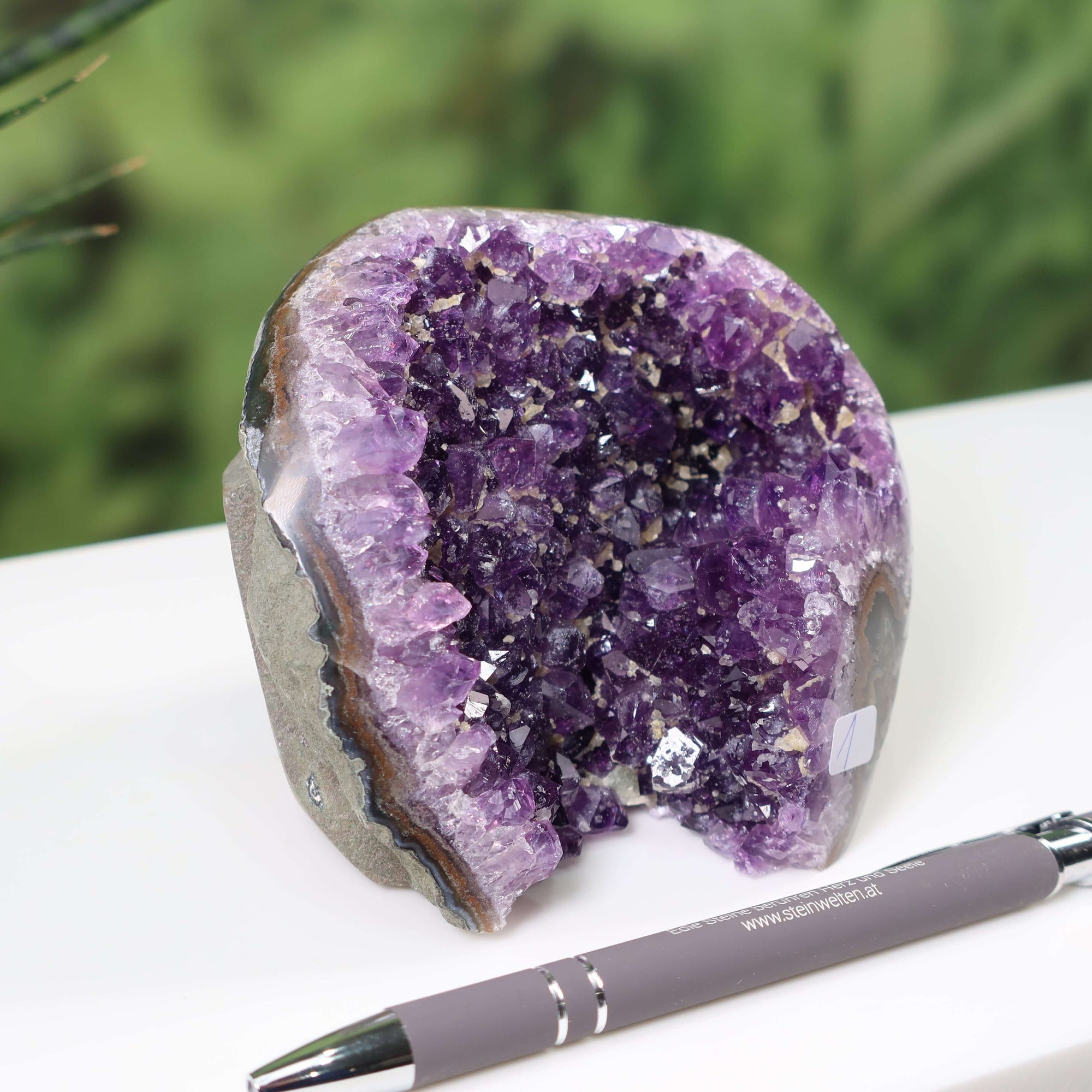 Intense purple Uruguay amethyst mini geode displayed next to a pen for size comparison on a table with a green plant in the background.