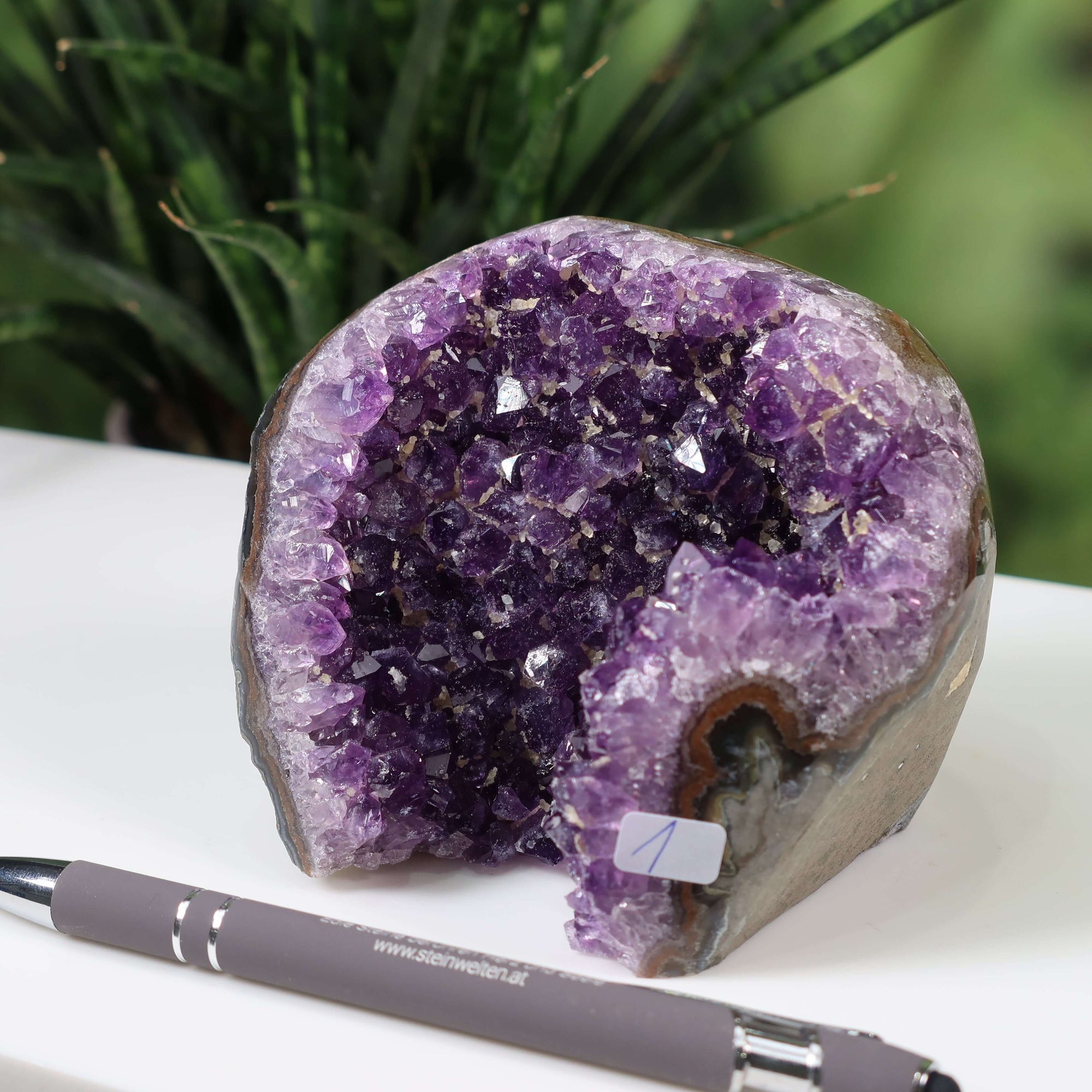 Uruguay Amethyst Mini Geode displaying intense purple crystals with a deep color, placed beside a pen for scale on a white surface, surrounded by greenery.