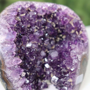 Close-up of a Uruguay Amethyst Mini Geode showcasing intense deep purple crystals, highlighting its unique and natural formation.