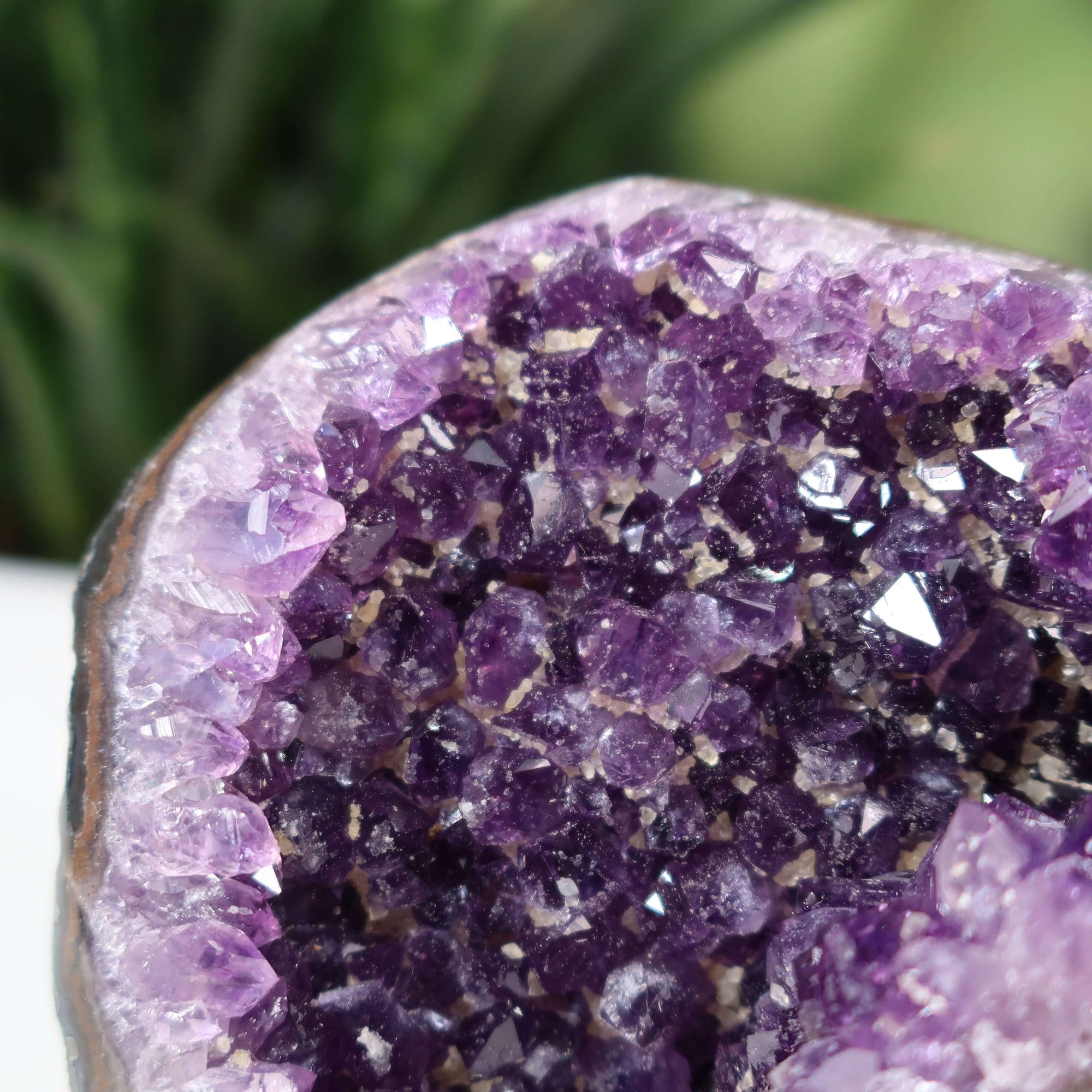 Close-up of a Uruguay Amethyst Mini Geode showcasing intense violet crystals, unique item NR 1