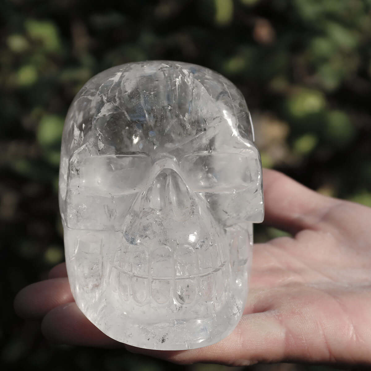 Hand holding a unique handcrafted clear quartz crystal skull in natural setting