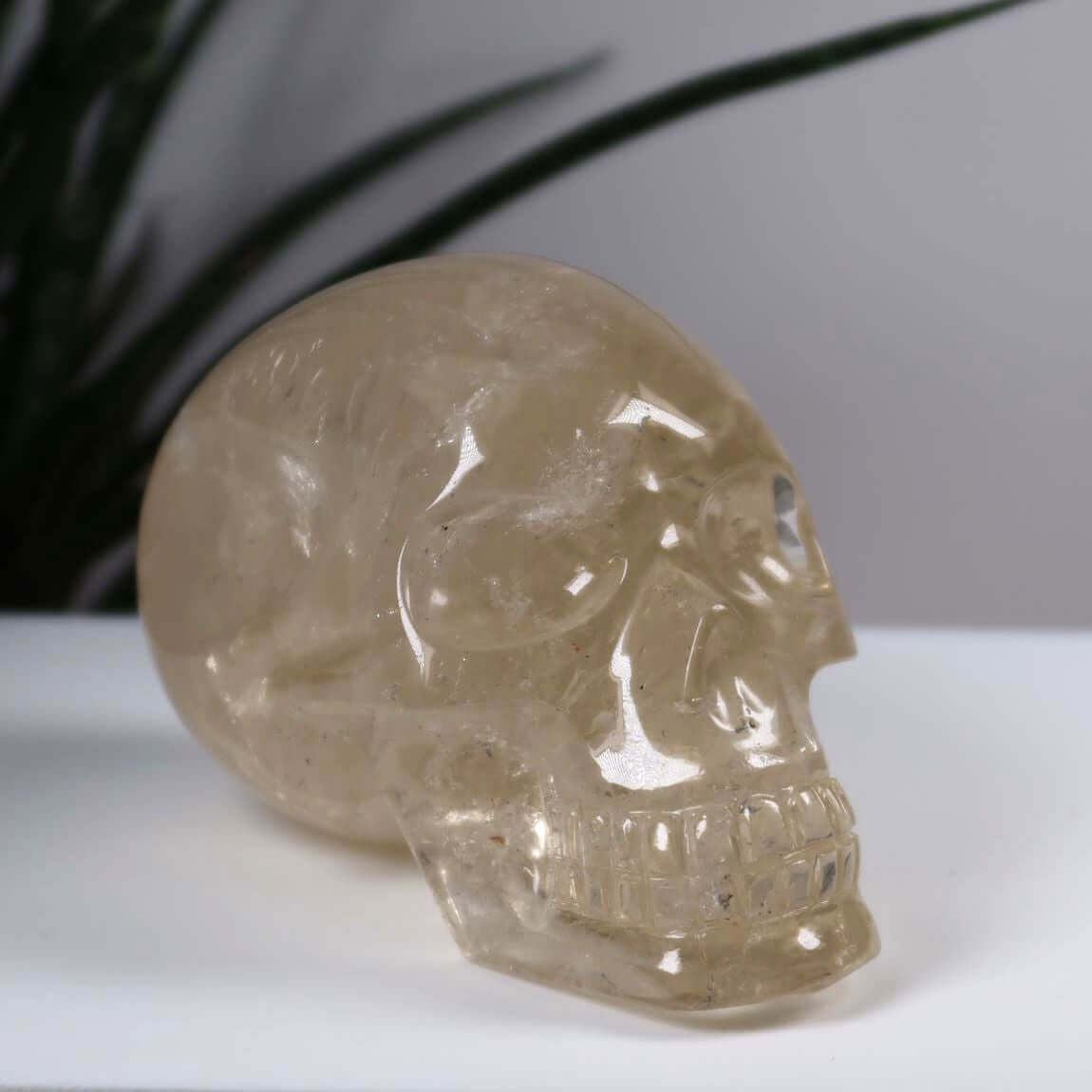 Handcrafted citrine crystal skull on display, perfect for collectors looking for unique gemstone skulls available online at Steinwelten.