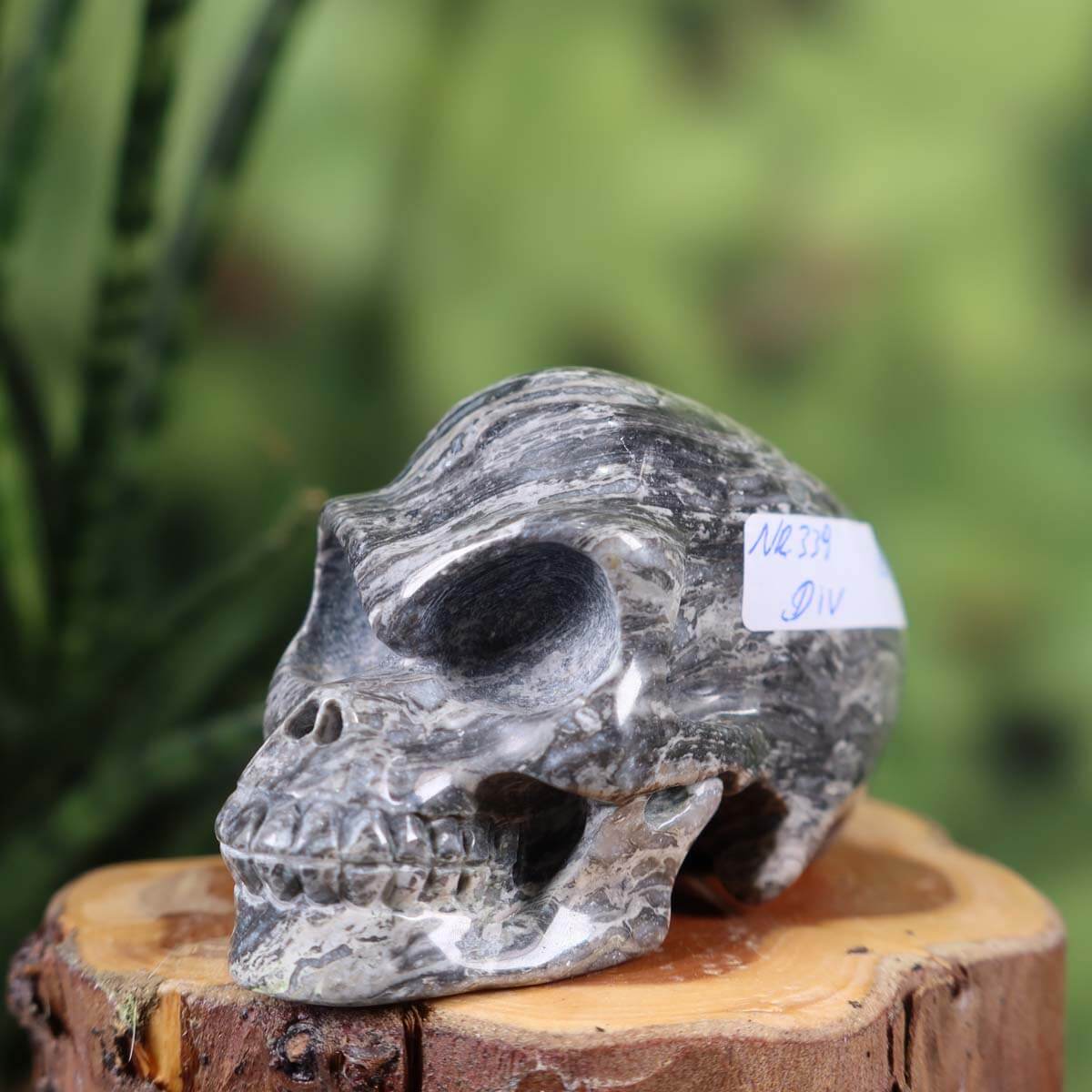 Handcrafted natural stone crystal skull with unique patterns, collectible item - 8x4 cm, available online at Steinwelten.