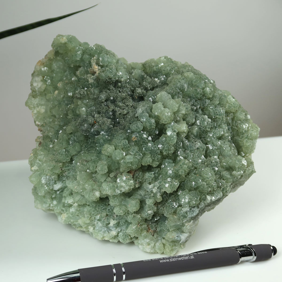 Mineralien von Steinwelten 