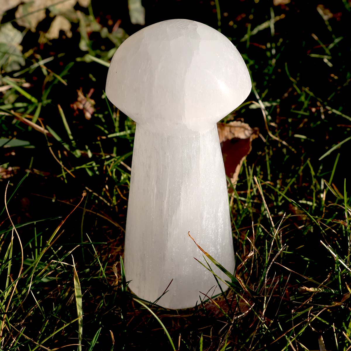 Selenit Glücks Pilz ca. 8 cm höhe - für Stabilität und Gefühl der Kontrolle zu bewahren