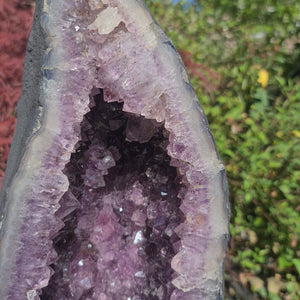 Amethyst kaufen in Wiener Neustadt Nr. 79