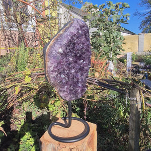 Uruguay Amethyst Drusen sehr intensive, dunkle Farbe! (AA-Qualität) Nr. 56